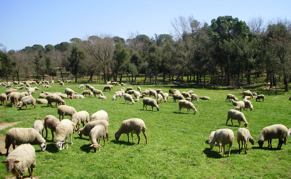 MasiaCanGascons_exterior_18